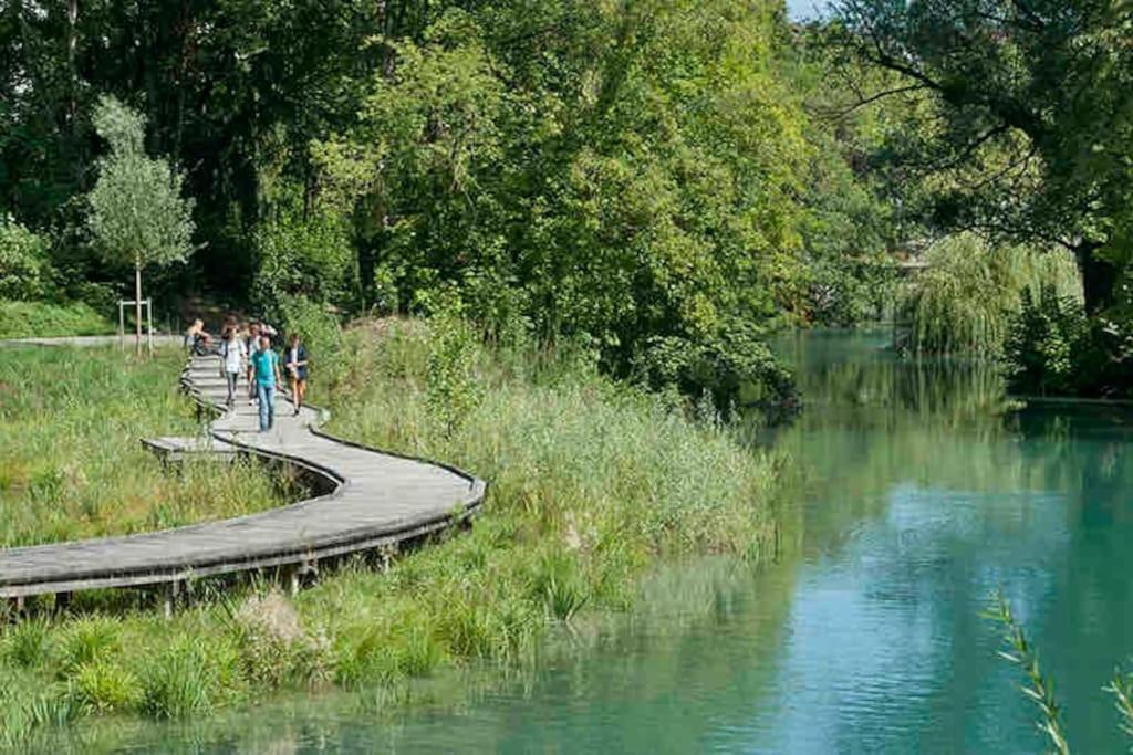 La Perle Du Thiou - Charmant T3 Au Centre D'Annecy Avec Parking Prive Zewnętrze zdjęcie
