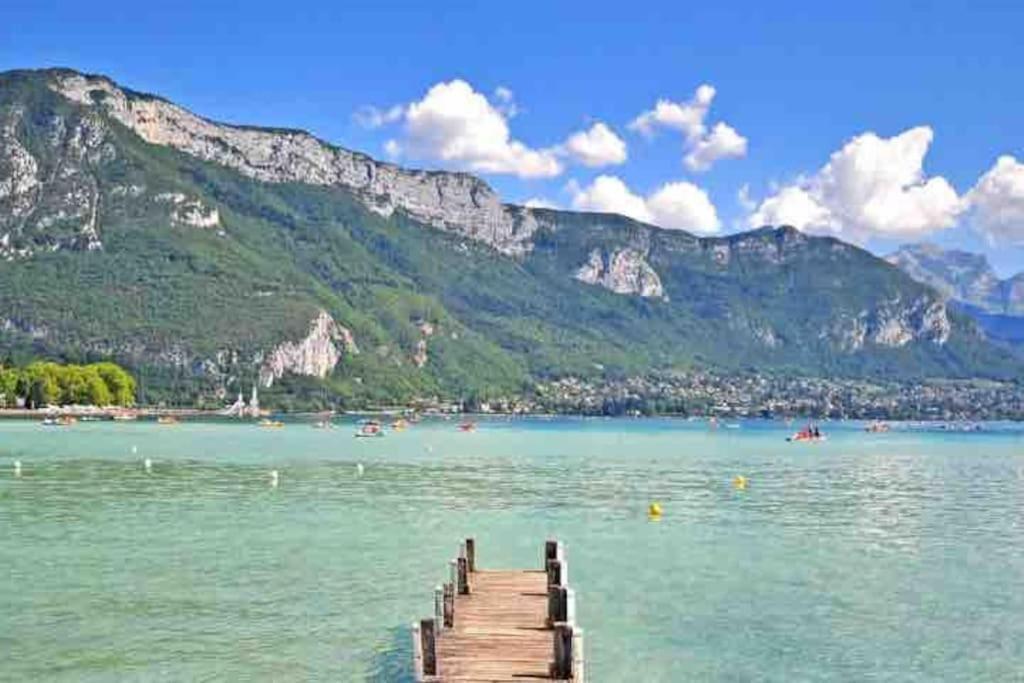 La Perle Du Thiou - Charmant T3 Au Centre D'Annecy Avec Parking Prive Zewnętrze zdjęcie